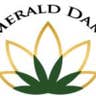 emerladdame's avatar