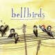 bellbirds's avatar