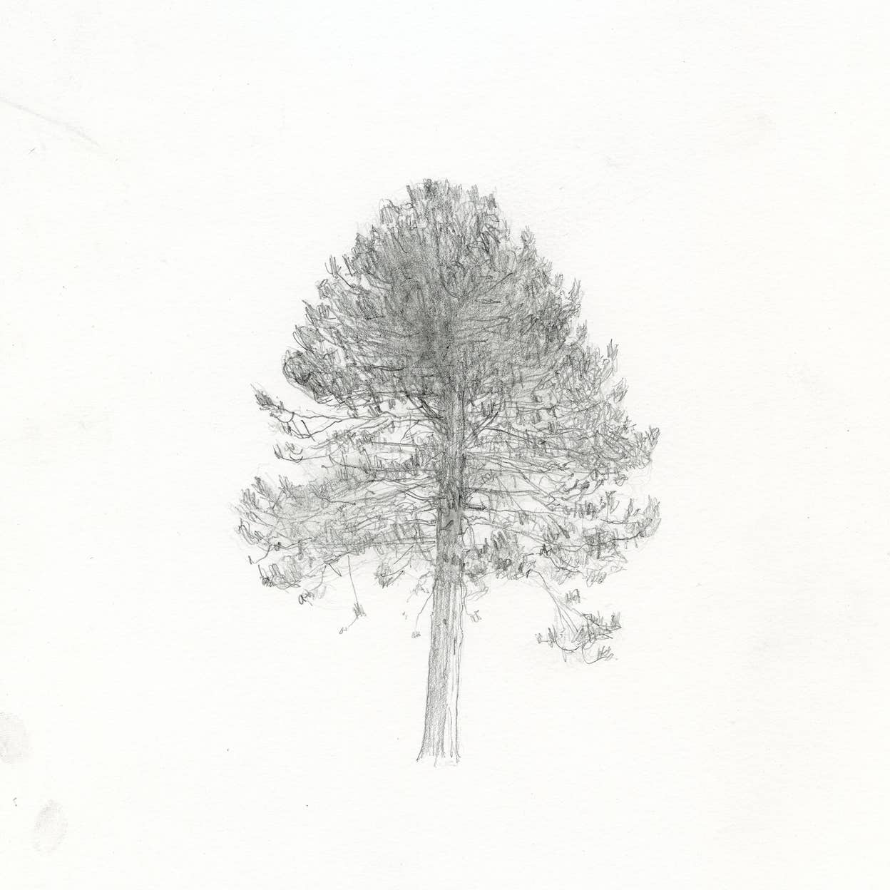 Playlist cover