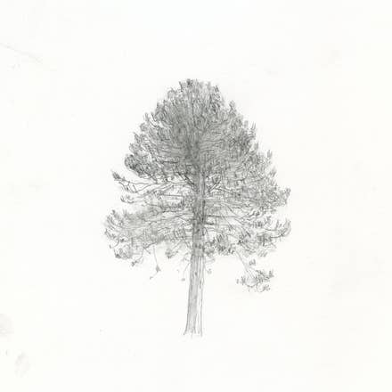 Playlist cover