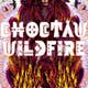 choctawwildfire's avatar