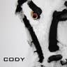 CODY's avatar