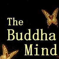 The Buddha Mind's avatar