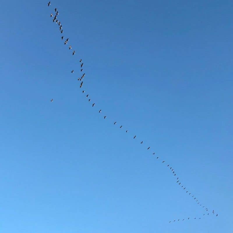 Playlist cover