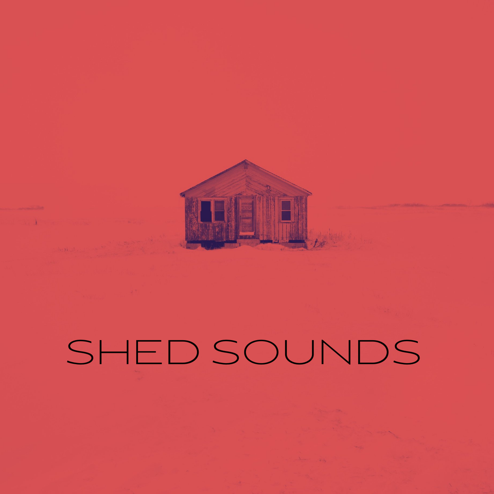 Shed Sounds's avatar