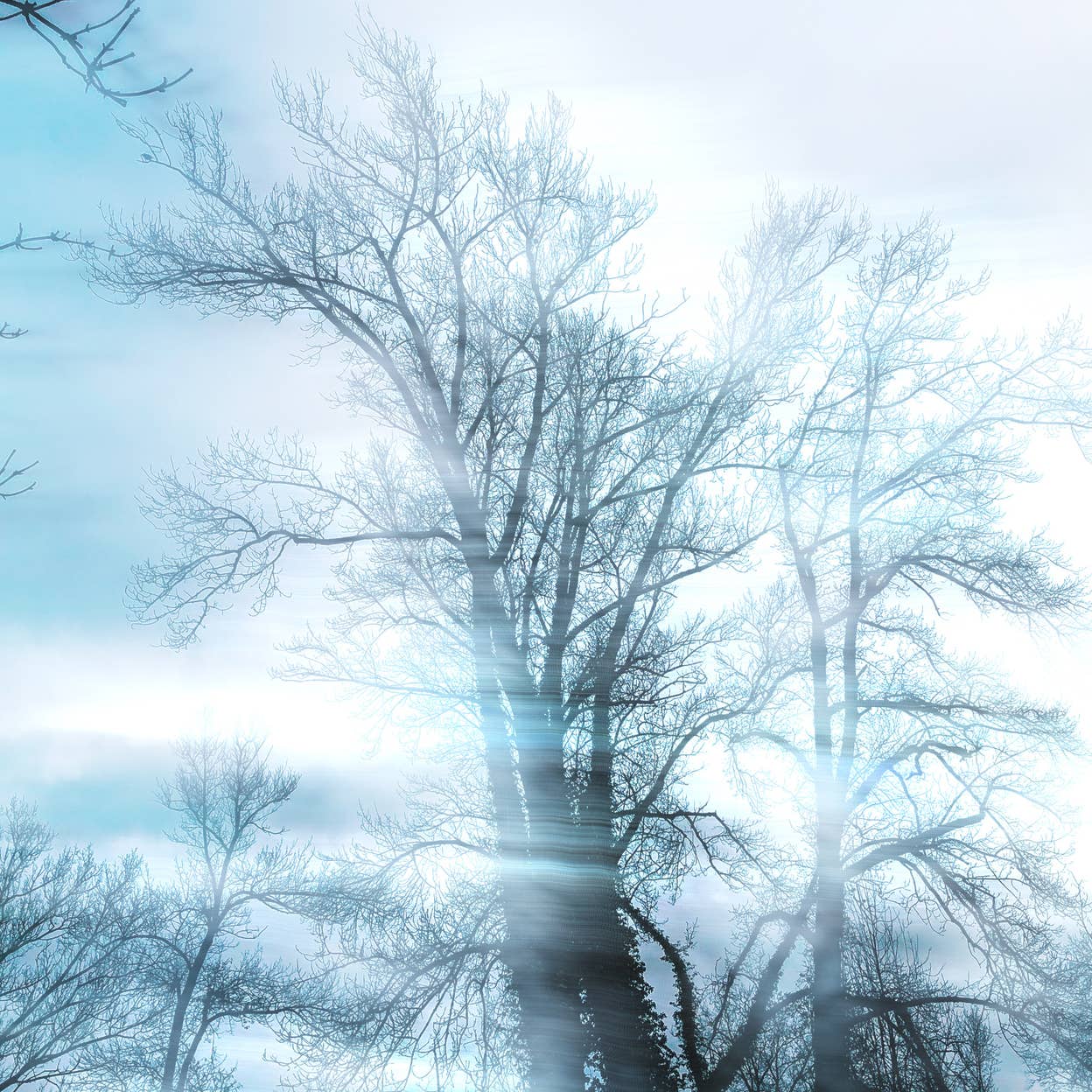 Playlist cover