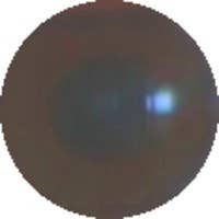 offenbar's avatar
