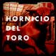 Hornicio Del Toro's avatar