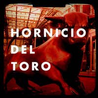 Hornicio Del Toro's avatar