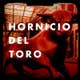 Hornicio Del Toro's avatar