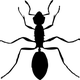 antcolony's avatar