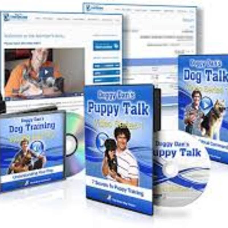 Doggy Dan’s Online Dog Trainer's avatar