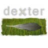 dexter's avatar