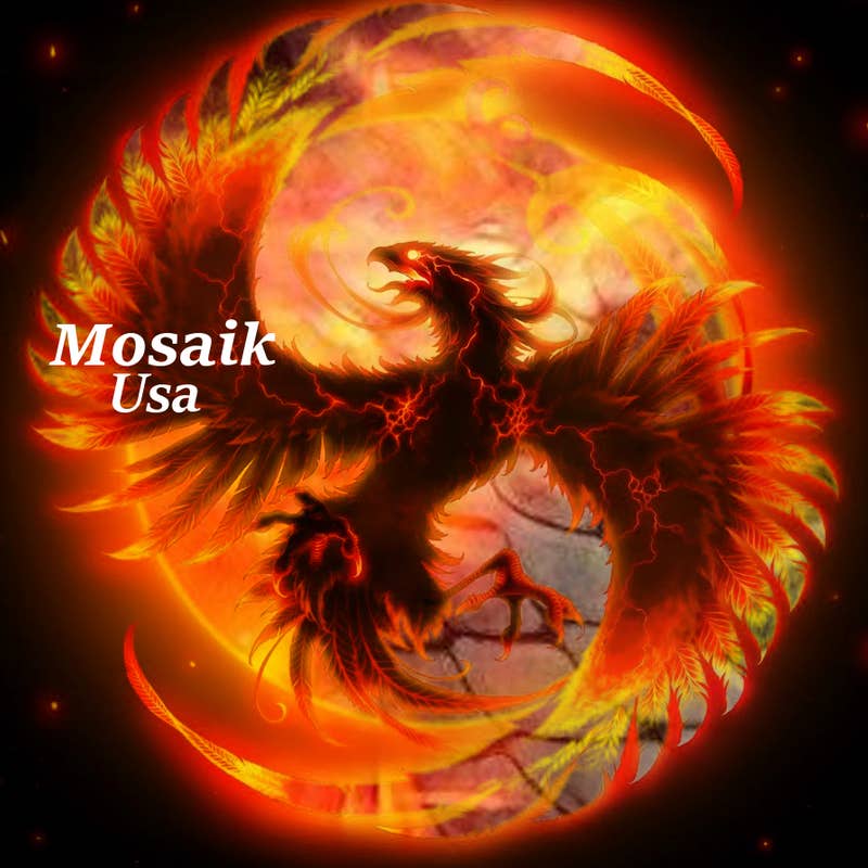 mosaik usa's avatar