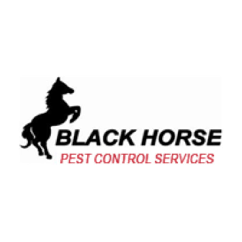 blackhorsepestcontrol's avatar
