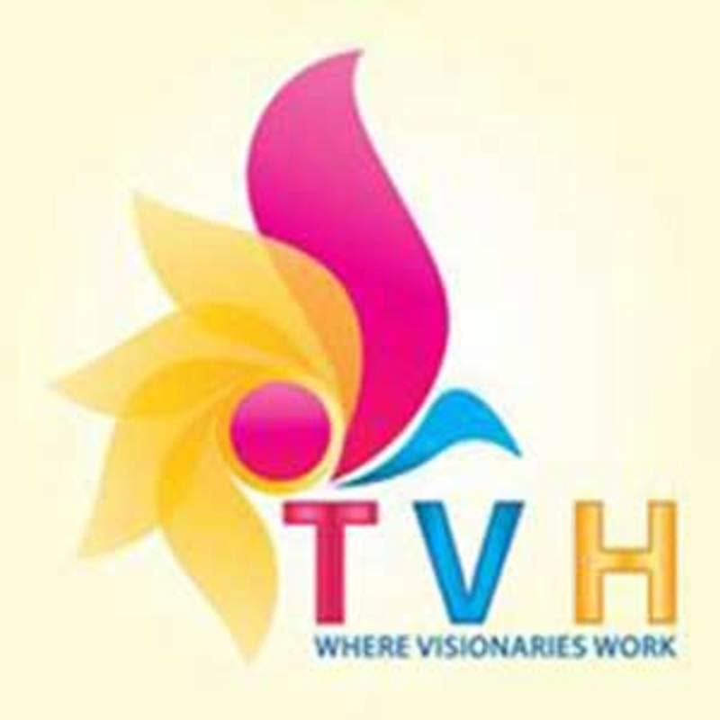 thevisualhouse's avatar