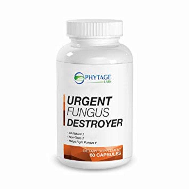 urgentfungusdestroyer's avatar