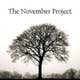 The November Project's avatar