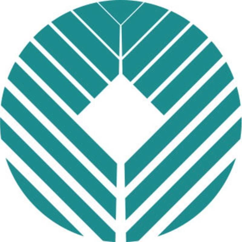 dvpmarket's avatar