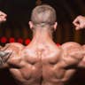 rippednox's avatar