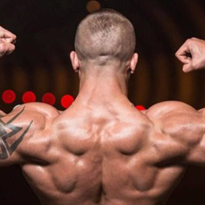 rippednox's avatar