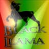 Black Llama's avatar