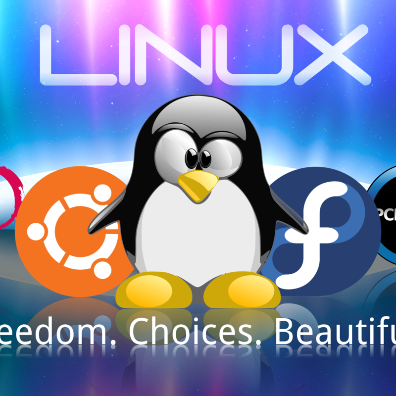 Linux  Training  Institute In Noida,Delhi's avatar
