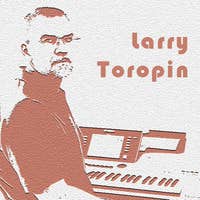 Larry Toropin's avatar