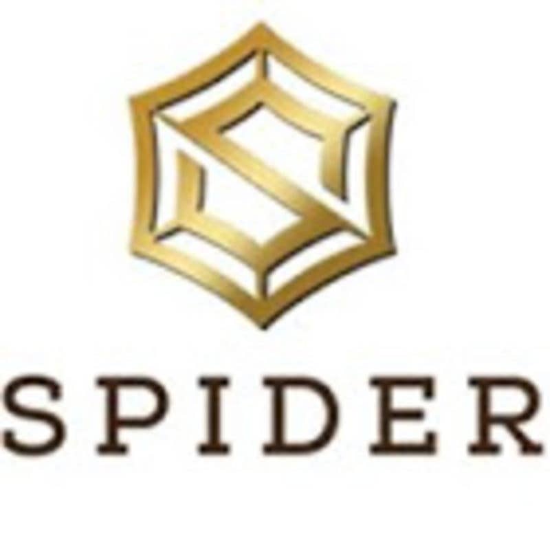 spiderbusinesscenteruae's avatar