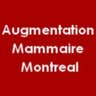 augmentation's avatar