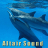 Altair Sound's avatar