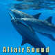 Altair Sound's avatar