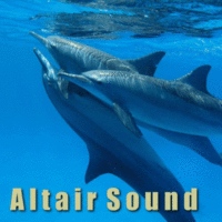 Altair Sound's avatar