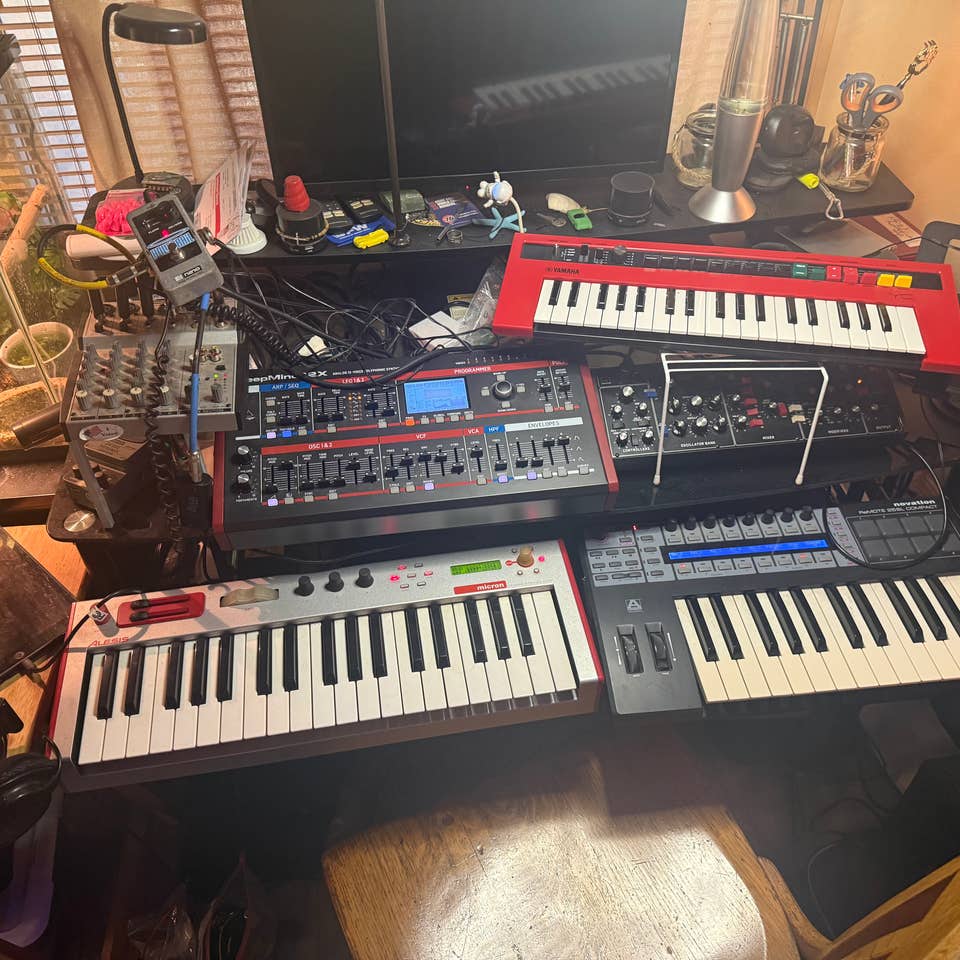 dimm witness's avatar