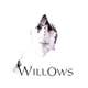 willows's avatar